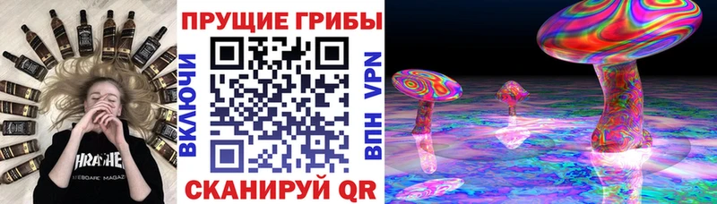 цена   Белоозёрский  Галлюциногенные грибы ЛСД 